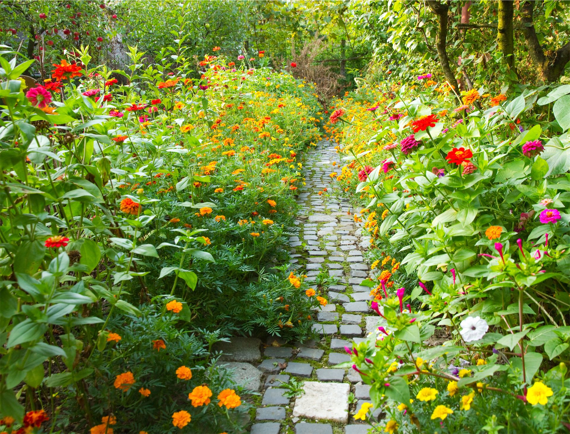 Placeholder garden image